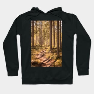 Footpath Hoodie